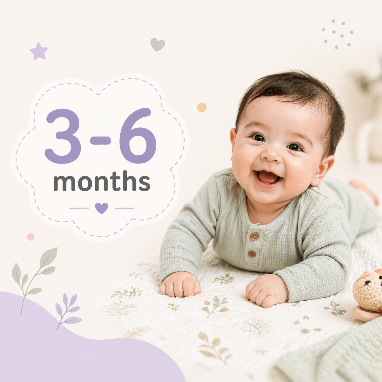 3-6 Months